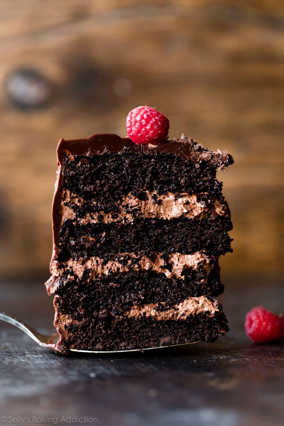 Dark Chocolate + Mousse Cake